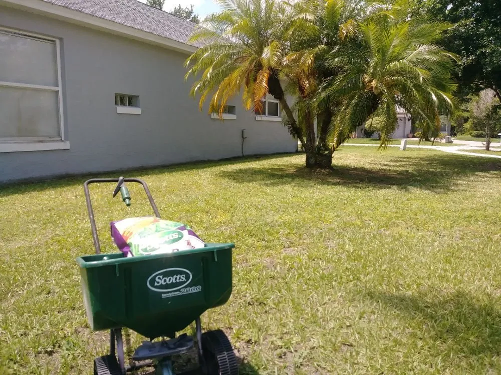 Professional landscape design experts serving Orlando, FL - NOR Lawn Care