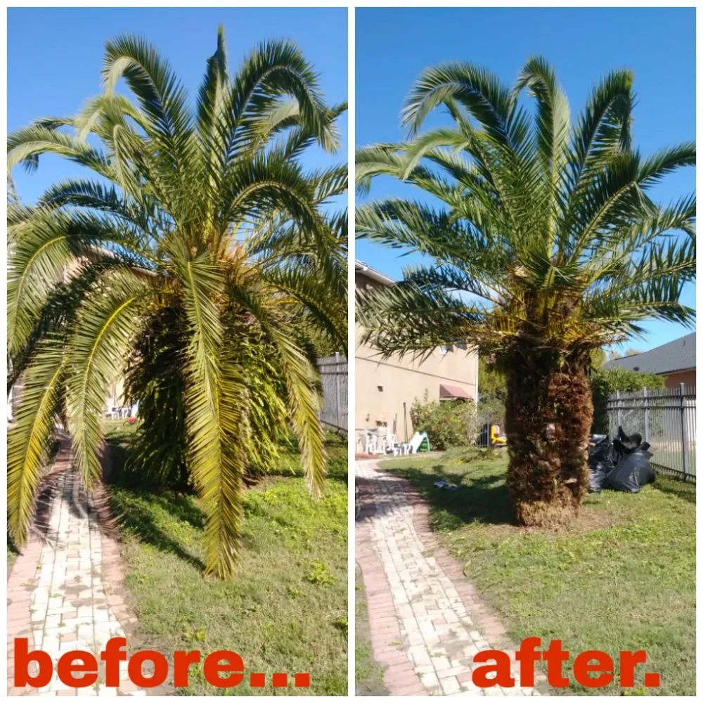 Custom landscape design for outdoor upgrades in Orlando, FL by NOR Lawn Care