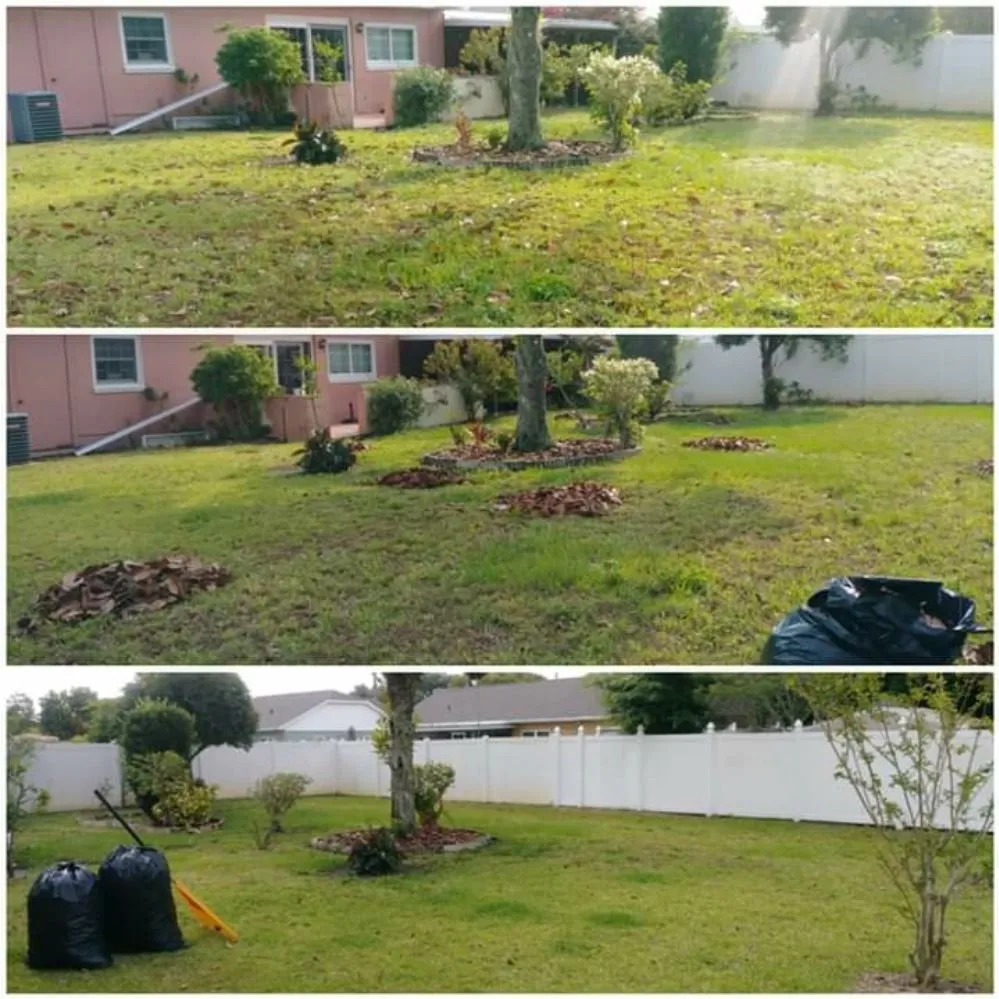 Trusted yard maintenance for year-round maintenance across Orlando, FL - NOR Lawn Care
