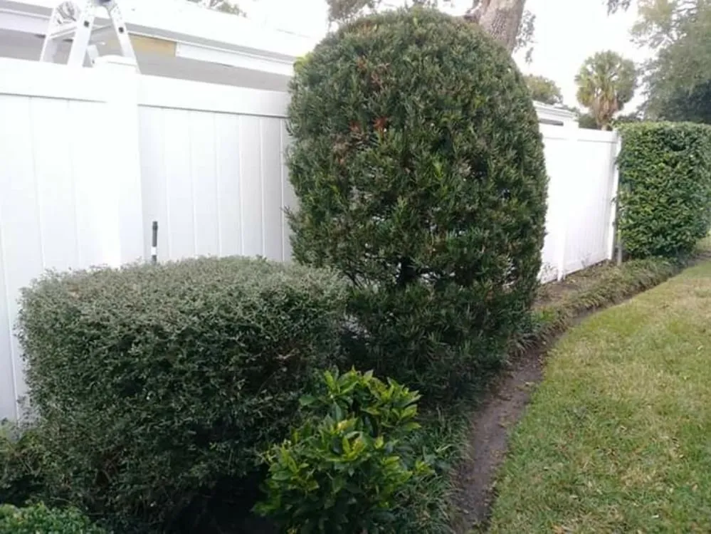 Expert outdoor landscaping for outdoor upgrades across Orlando, FL - NOR Lawn Care