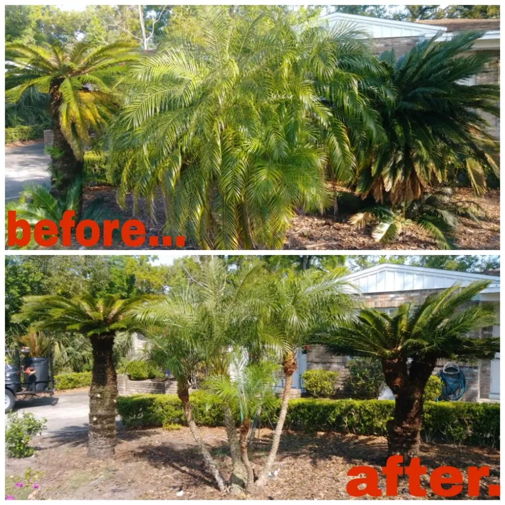 Professional residential landscaping experts serving Orlando, FL - NOR Lawn Care