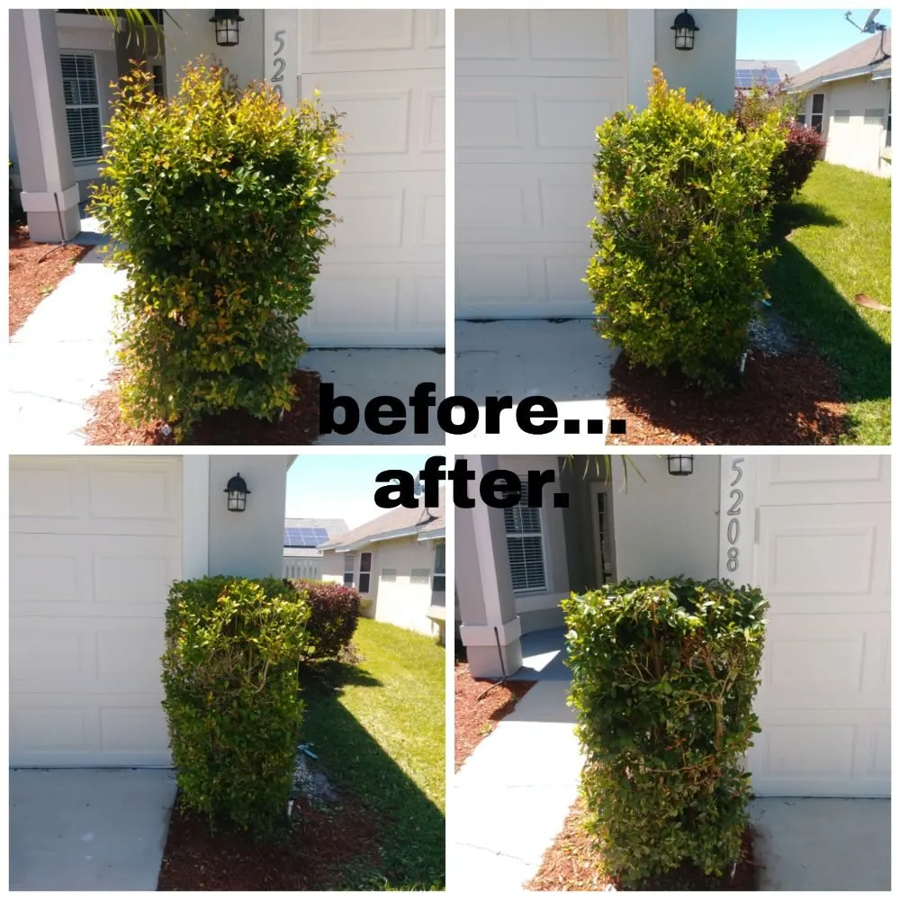 Top-rated landscape design in Orlando, FL - NOR Lawn Care