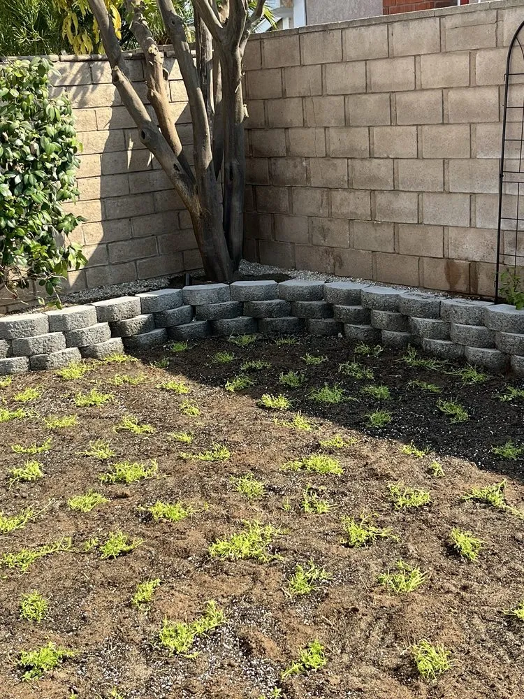 Expert lawn mowing service in Riverside, CA by Norbert's Landscape Irrigation