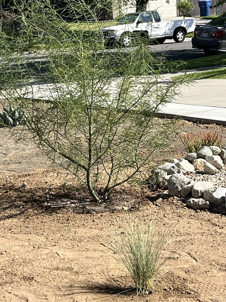 Top-rated yard maintenance experts serving Riverside, CA - Norbert's Landscape Irrigation