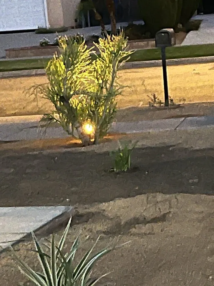 Professional lawn care service experts serving Riverside, CA - Norbert's Landscape Irrigation