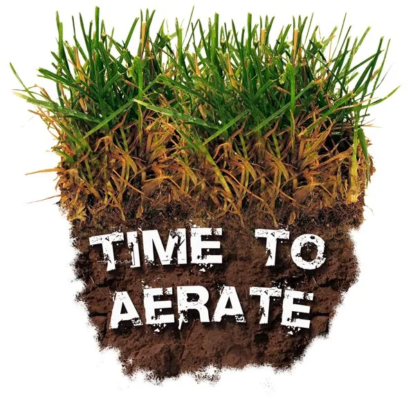 Professional garden landscaping in Orangevale, CA - Norcal Lawn Aeration