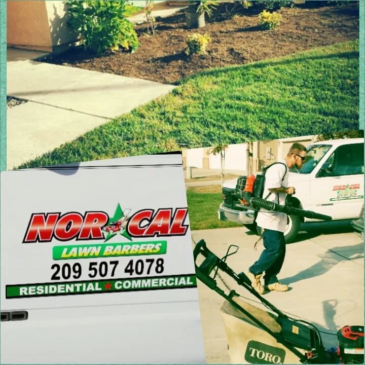 Top-rated landscape installation for residential properties in Manteca, CA by NorCal LawnBarbers