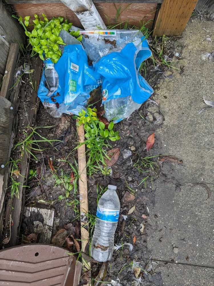 Expert lawn mowing service for homes in San Jose, CA by NorCal Masonry