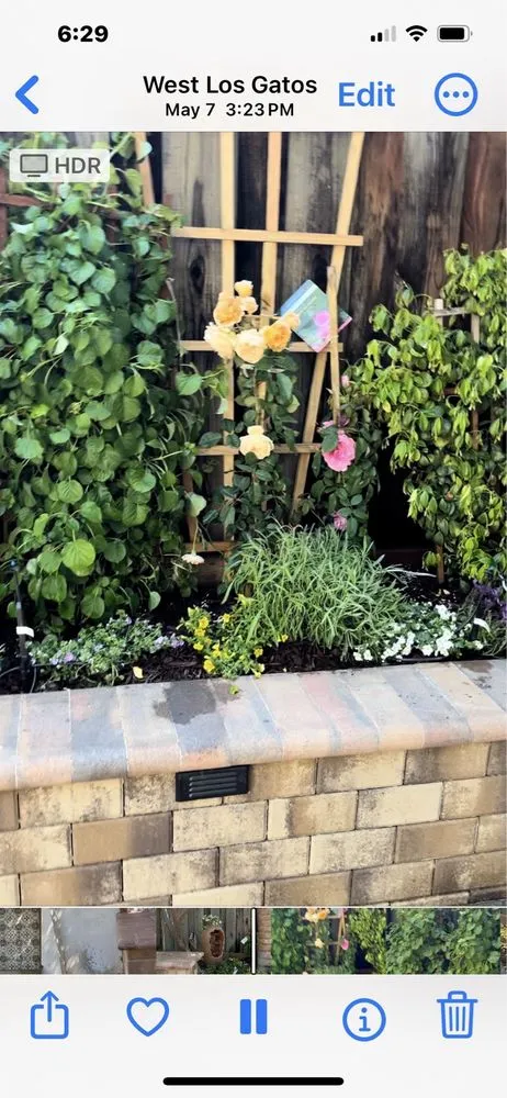 Custom lawn mowing service experts serving San Jose, CA - NorCal Masonry