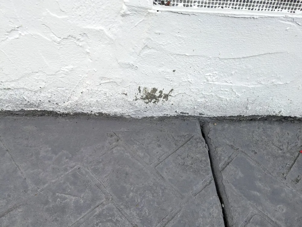 Expert lawn care service experts serving San Jose, CA - NorCal Masonry