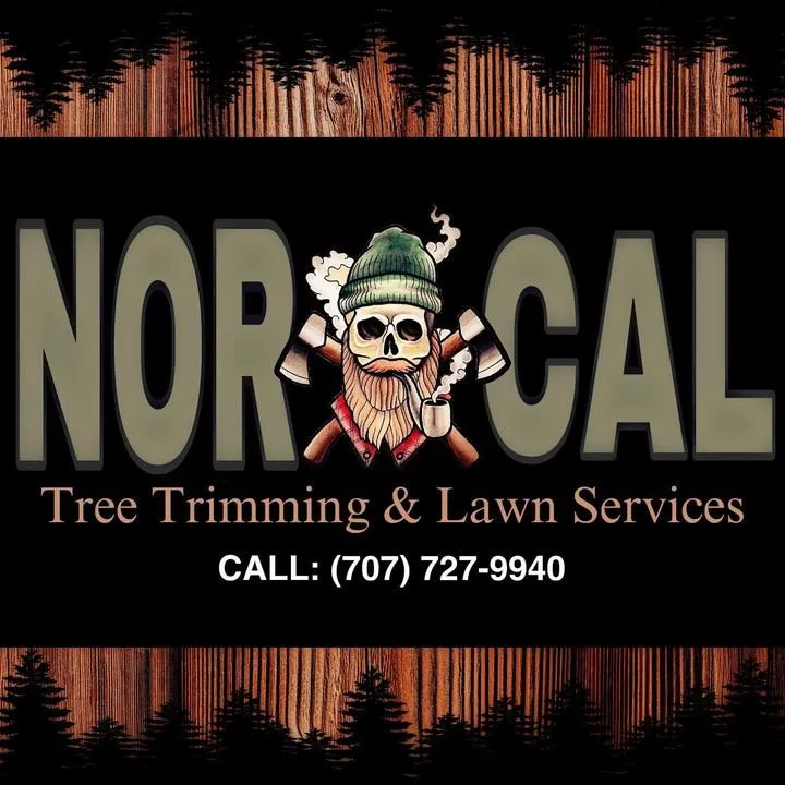 Local landscape design in Lucerne, CA by NorCal Tree Trimming & Lawn Services