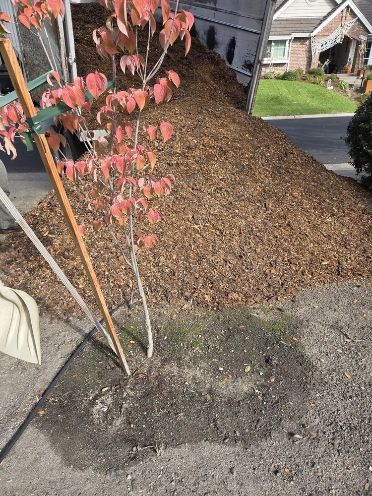 Affordable yard cleanup service in Rocklin, CA by Norcal Wholesale Bark