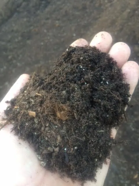 Professional yard cleanup service for outdoor upgrades across Rocklin, CA - Norcal Wholesale Bark