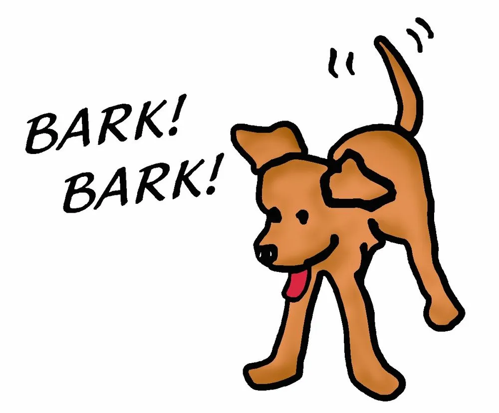 Custom yard maintenance in Rocklin, CA by Norcal Wholesale Bark