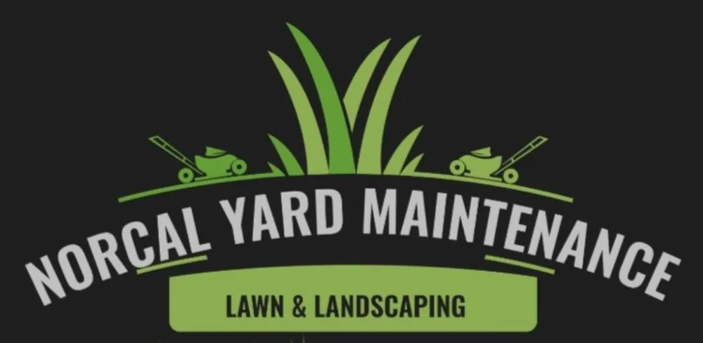 Professional outdoor landscaping with custom design in Santa Rosa, CA by Norcal Yard Maintenance