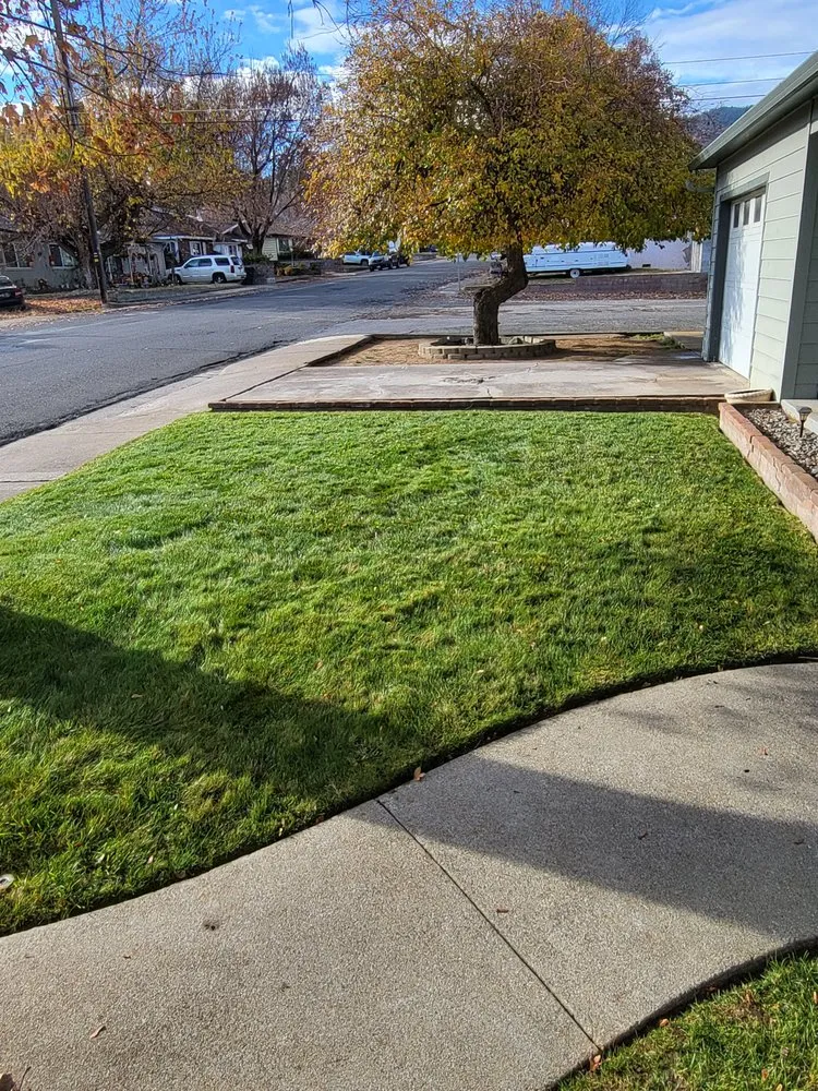 Reliable lawn mowing service with custom design across Montague, CA - NorCal Yard Pro