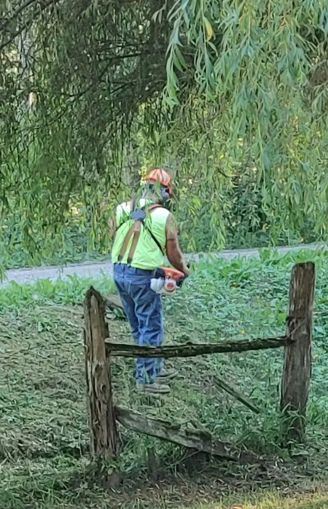 Trusted residential landscaping near you across Graham, WA - Nordic Decent