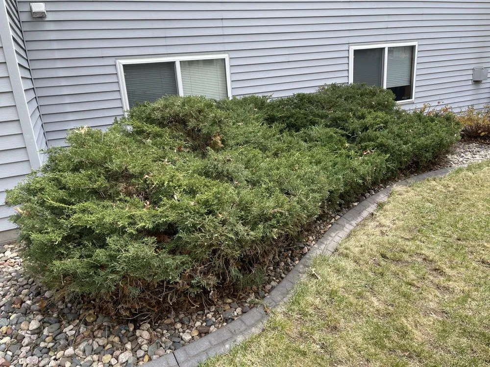 Reliable landscaping services for homes in Sartell, MN by Nordic Lawn Services