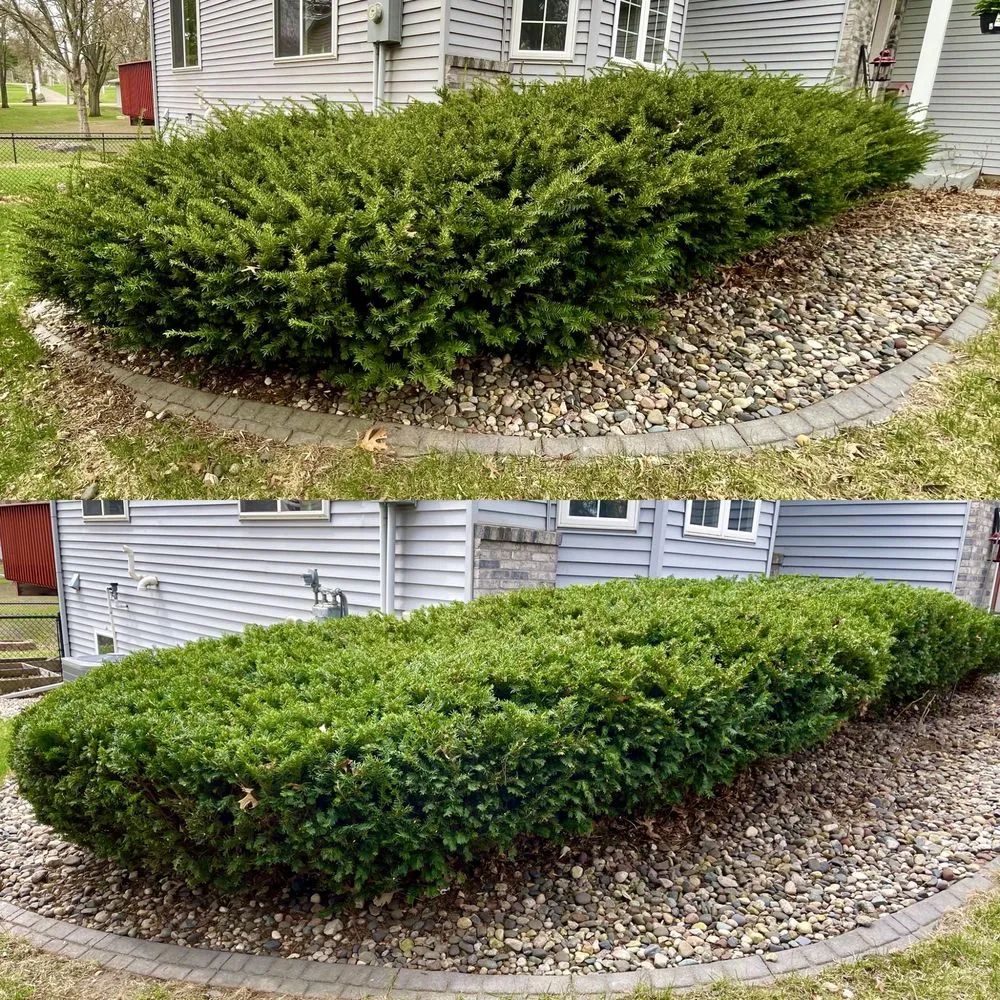 Expert yard cleanup service for residential properties across Sartell, MN - Nordic Lawn Services