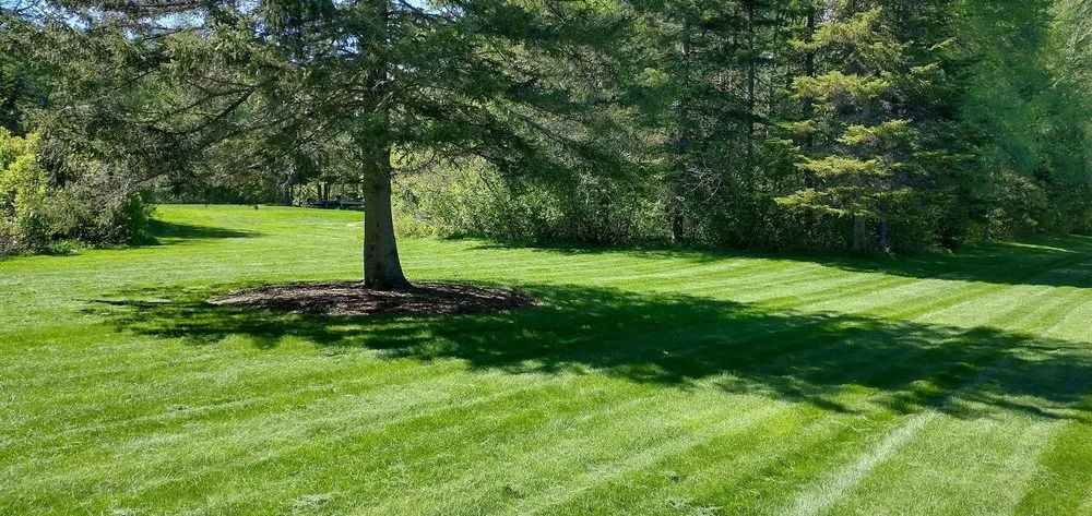 Reliable landscaping services in Caribou, ME - Nor'East Properties