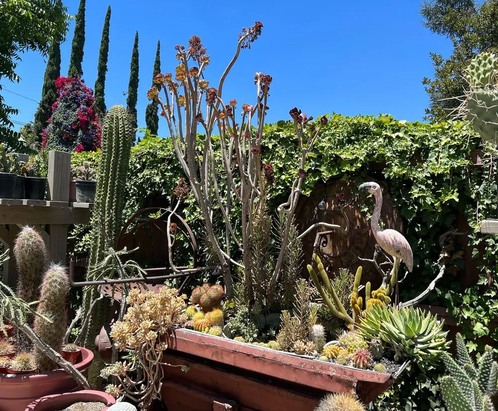 Expert residential landscaping experts serving Claremont, CA - Norens Nursery