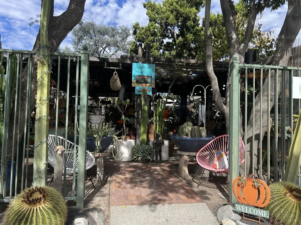 Reliable outdoor landscaping for outdoor upgrades across Claremont, CA - Norens Nursery