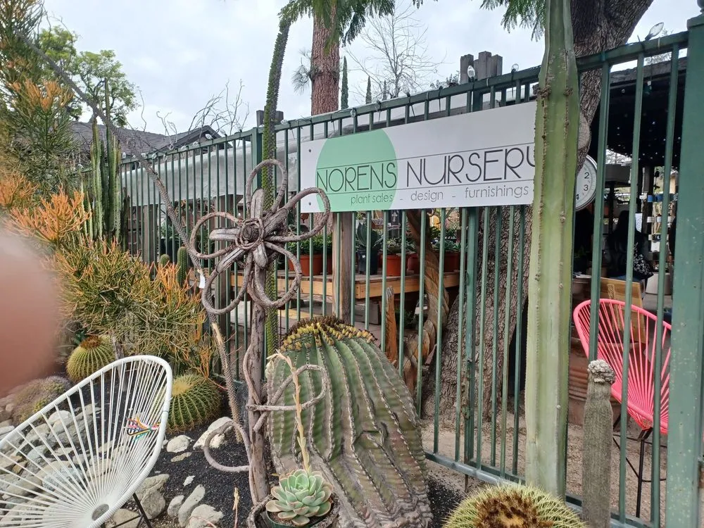 Custom yard maintenance experts serving Claremont, CA - Norens Nursery