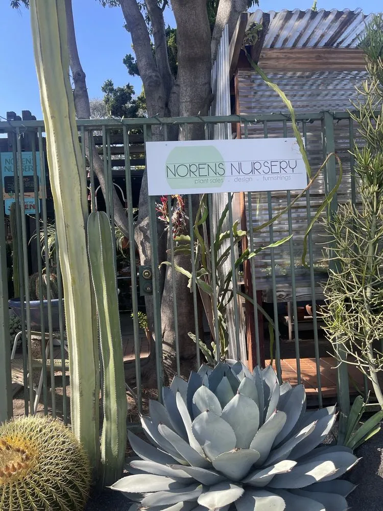 Trusted landscape design near you in Claremont, CA by Norens Nursery