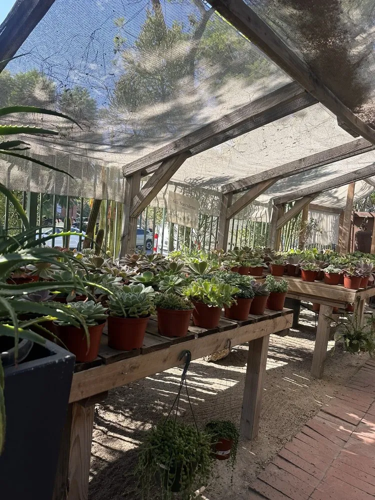 Professional yard cleanup service for beautiful yards in Claremont, CA by Norens Nursery