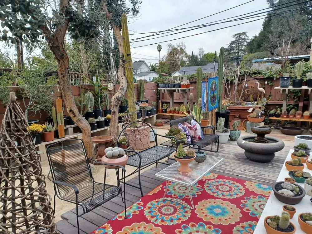 Local yard cleanup service in Claremont, CA - Norens Nursery