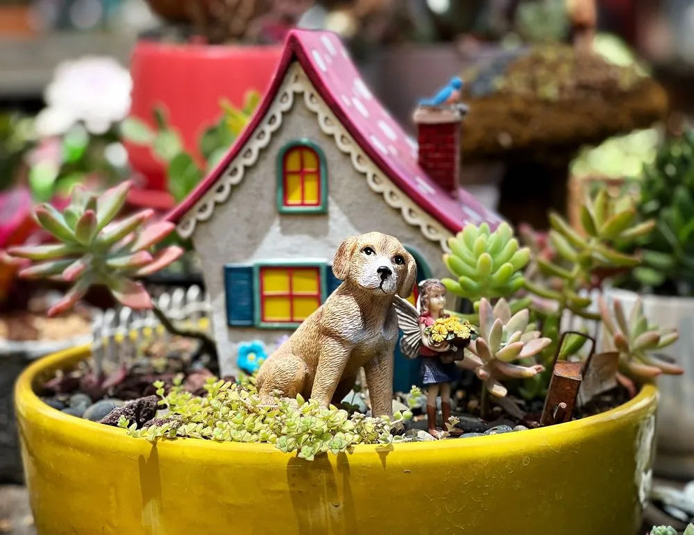 Expert landscape design for homes across Claremont, CA - Norens Nursery