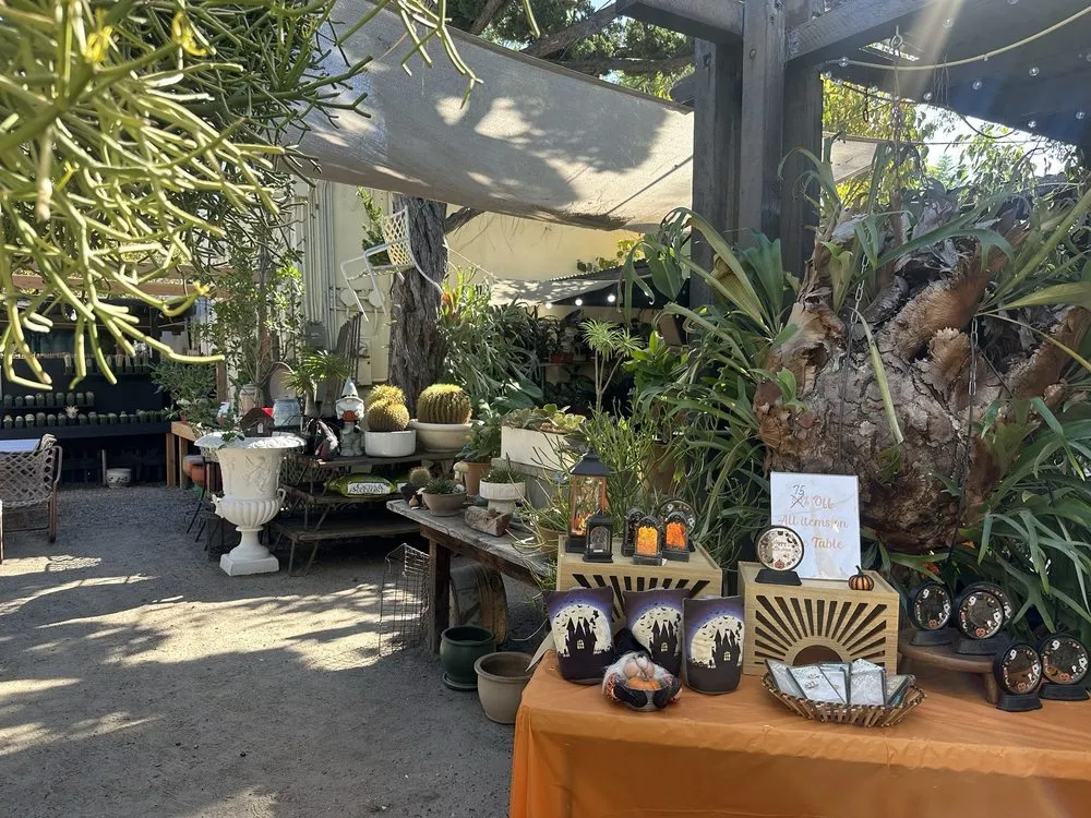 Custom yard maintenance in Claremont, CA - Norens Nursery