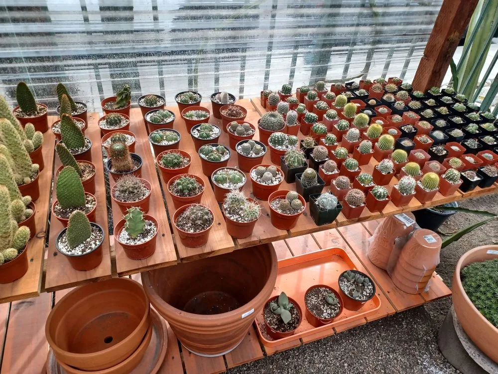 Custom lawn mowing service experts serving Claremont, CA - Norens Nursery