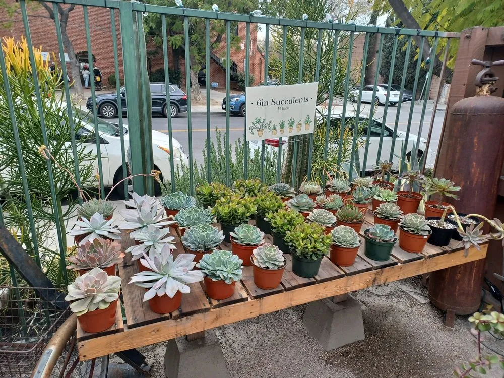 Trusted lawn mowing service for year-round maintenance across Claremont, CA - Norens Nursery