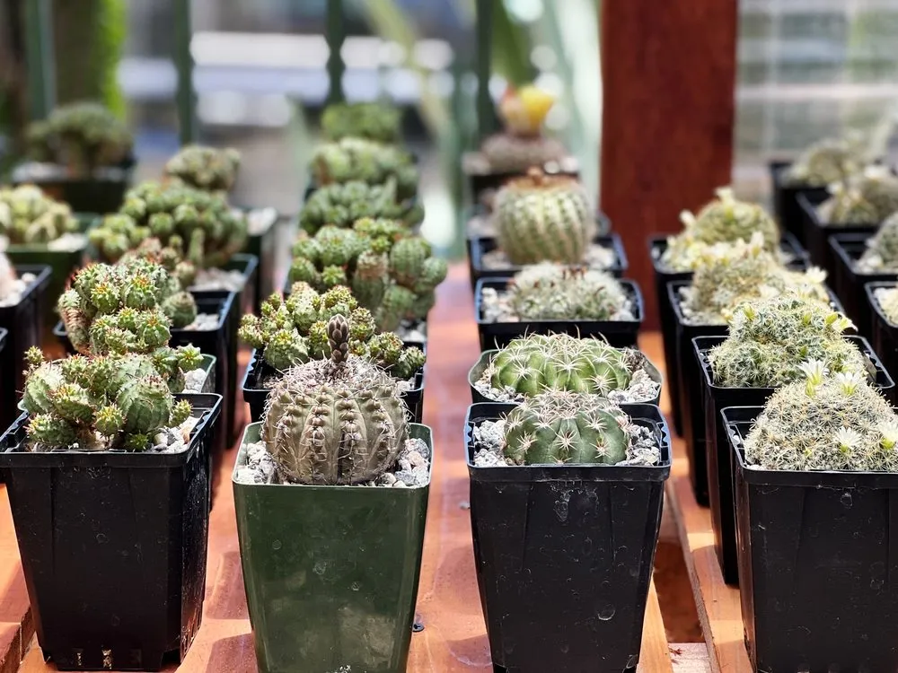 Top-rated landscape design with custom design in Claremont, CA by Norens Nursery