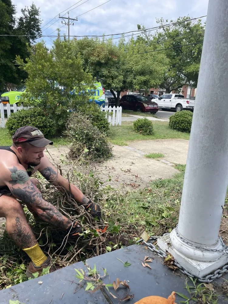 Reliable landscaping services in Norfolk, VA - Norfolk's Finest Lawn Care