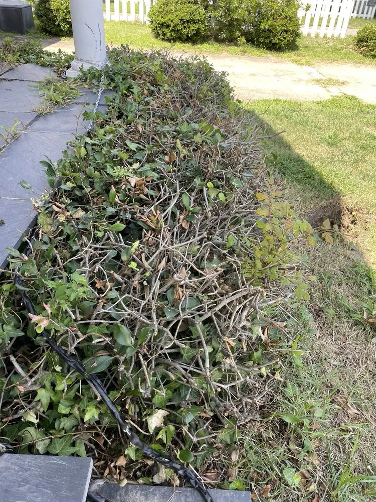 Custom garden landscaping experts serving Norfolk, VA - Norfolk's Finest Lawn Care