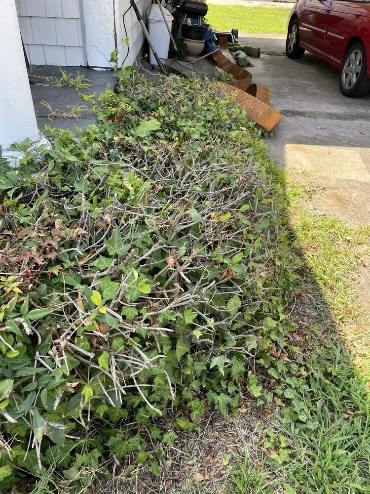 Custom landscaping services experts serving Norfolk, VA - Norfolk's Finest Lawn Care