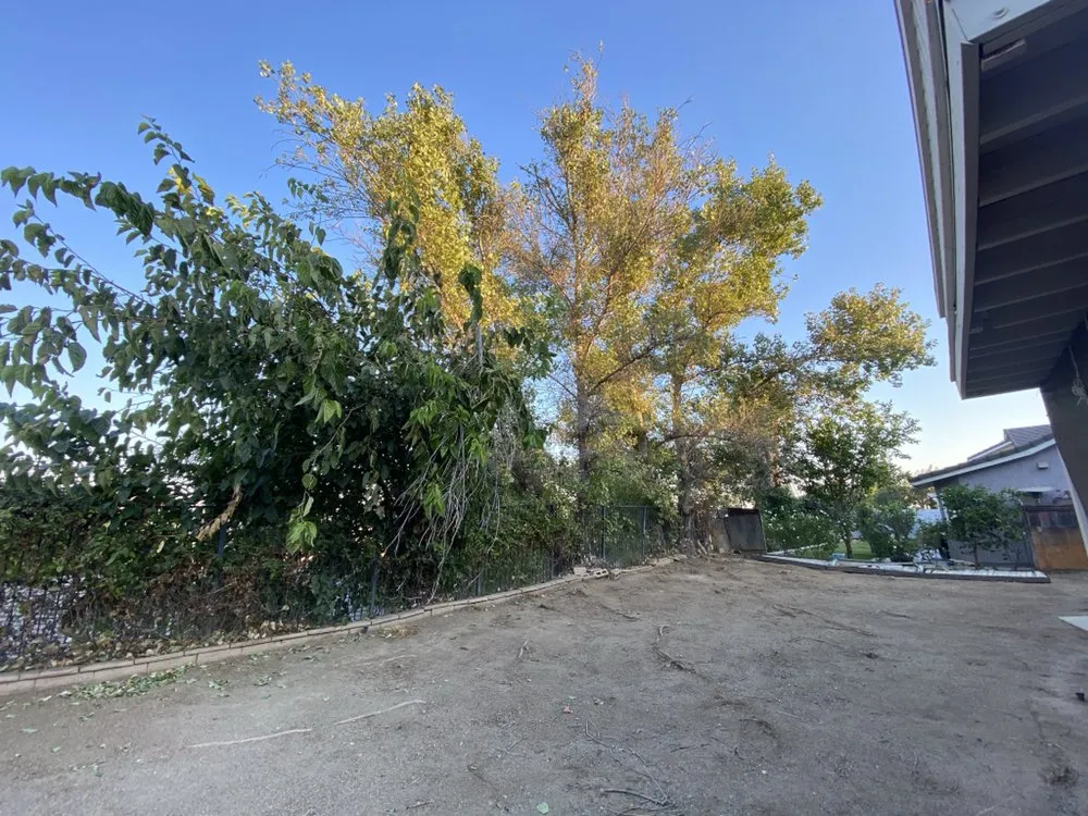 Trusted yard cleanup service with custom design across Riverside, CA - Noriega and Sons Tree Service