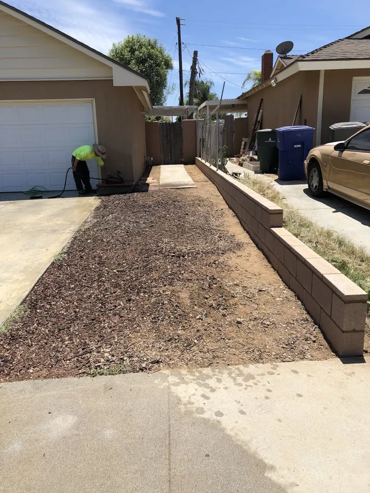 Expert yard cleanup service in Riverside, CA by Noriega and Sons Tree Service