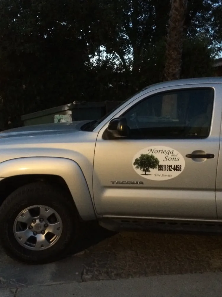 Trusted lawn mowing service in Riverside, CA - Noriega and Sons Tree Service