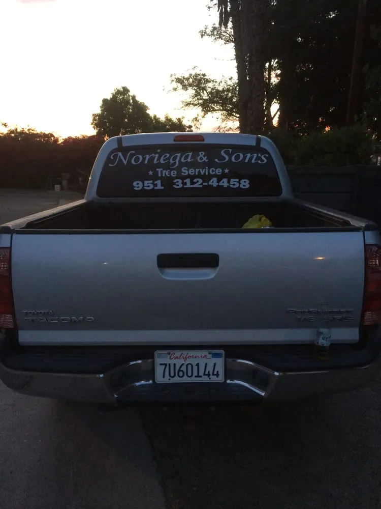 Local yard maintenance in Riverside, CA by Noriega and Sons Tree Service