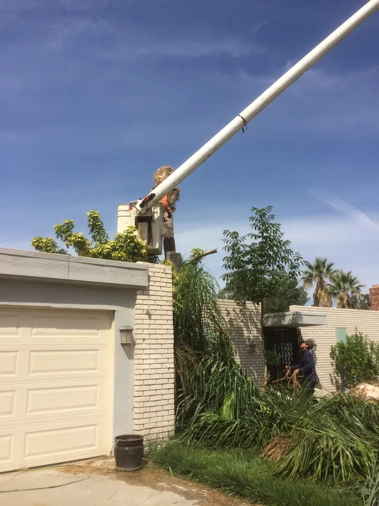 Trusted landscape installation in Riverside, CA - Noriega and Sons Tree Service