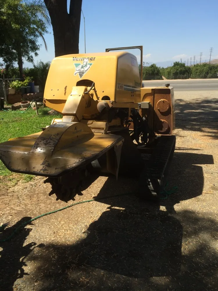 Trusted residential landscaping in Riverside, CA by Noriega and Sons Tree Service