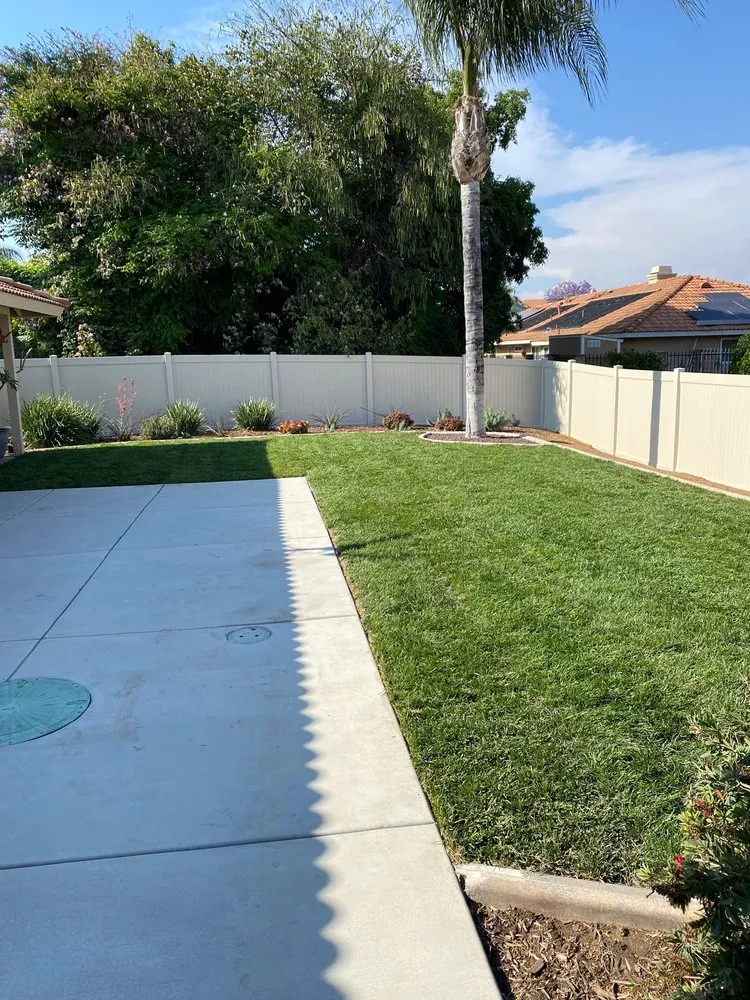 Professional landscaping services in Riverside, CA - Noriega and Sons Tree Service