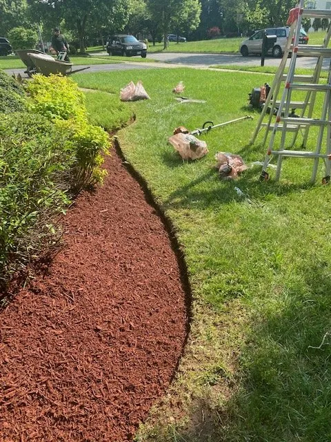 Reliable lawn mowing service experts serving Randallstown, MD - Noriega Landscaping and Lawn