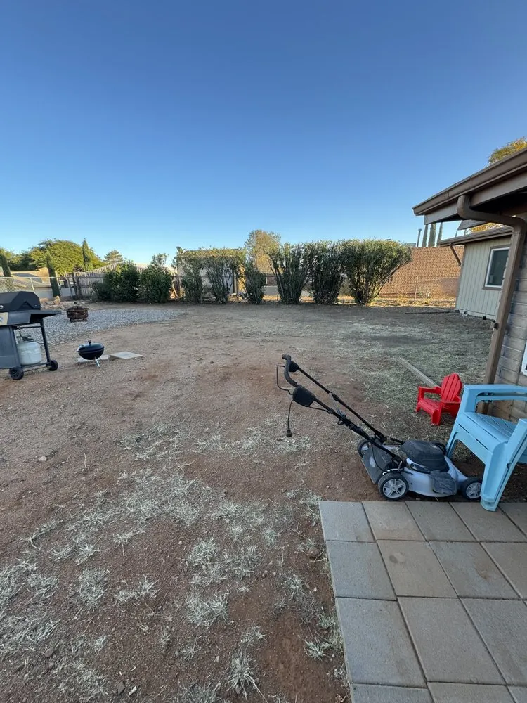 Expert landscape installation experts serving Sierra Vista, AZ - Noriega Lawn Care