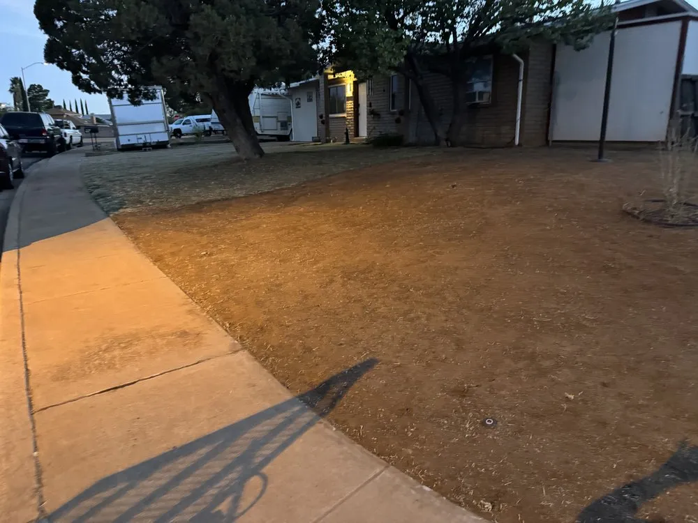 Custom landscaping services for year-round maintenance in Sierra Vista, AZ by Noriega Lawn Care