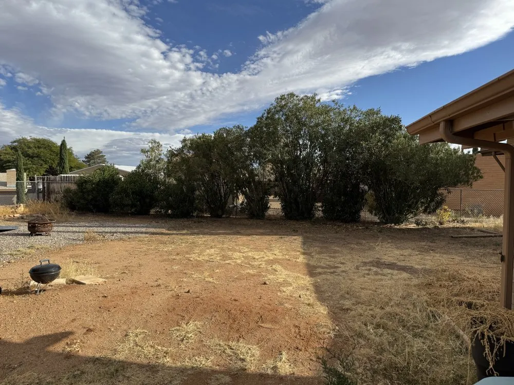 Top-rated lawn care service in Sierra Vista, AZ - Noriega Lawn Care