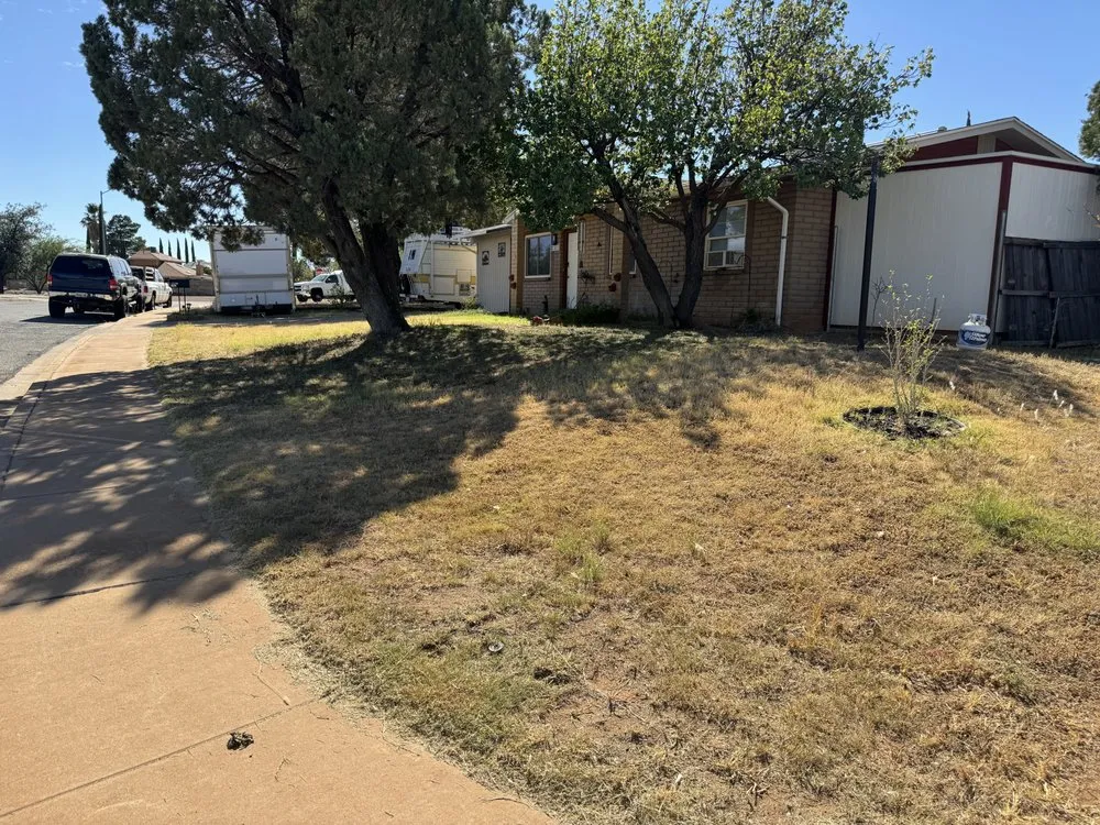 Reliable lawn mowing service for beautiful yards across Sierra Vista, AZ - Noriega Lawn Care